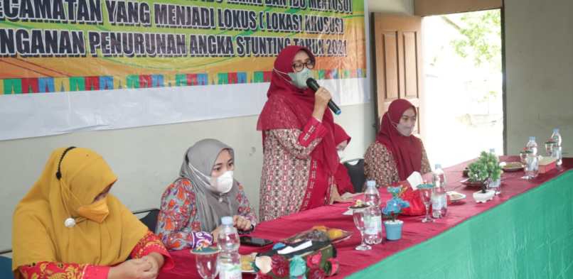 Begini Cara Rasidah Untuk Menurunkan Angka Stunting Di Siak