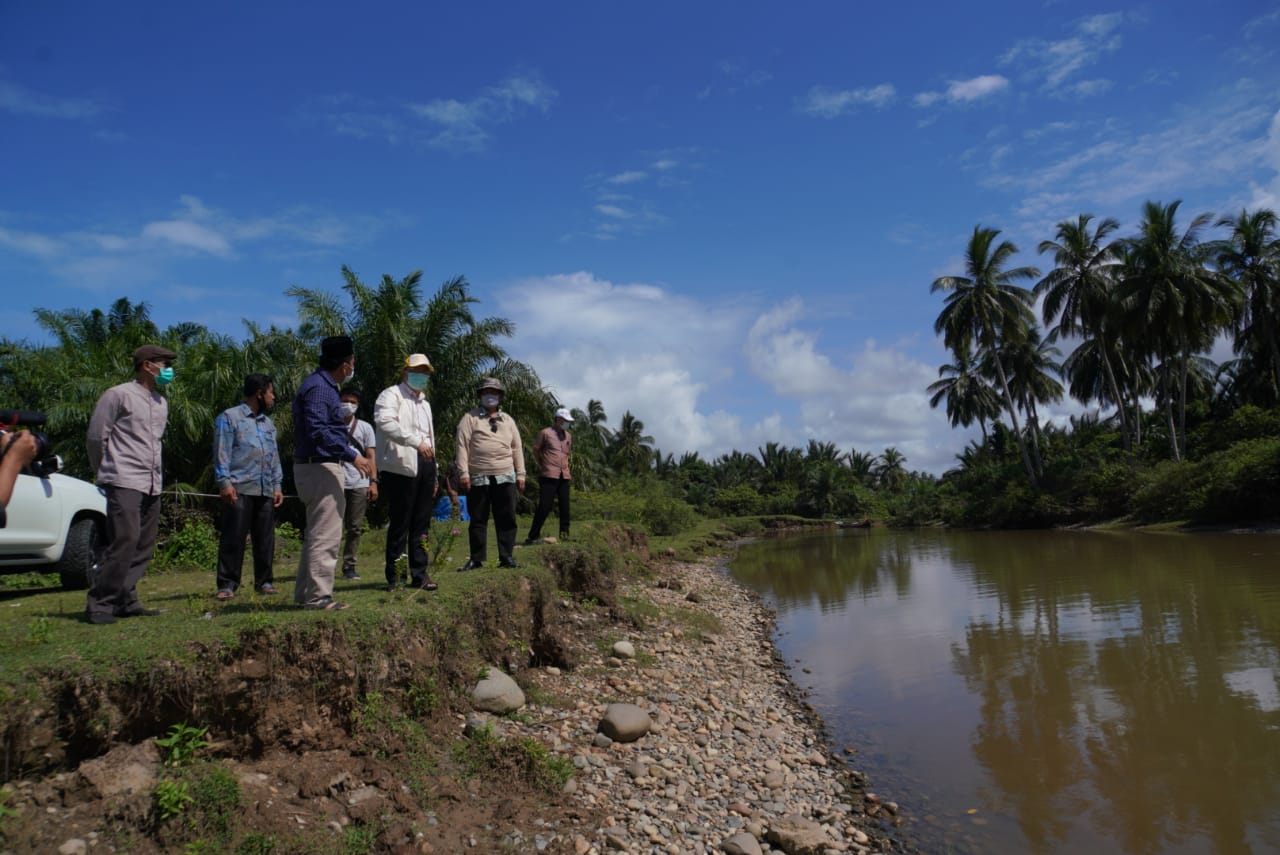 petani sawit mukomuko