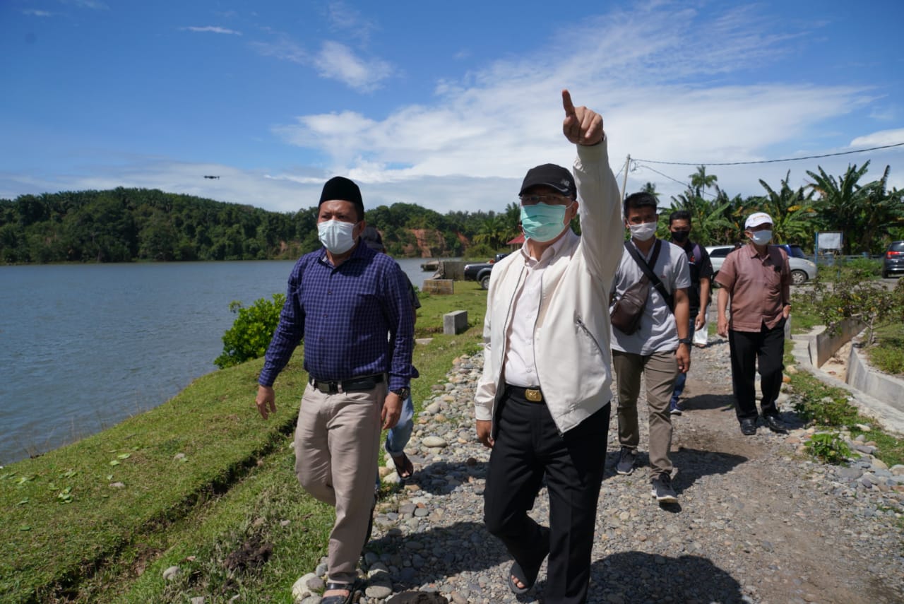Rohidin Dongkrak Harga Sawit Lebih Masuk Akal