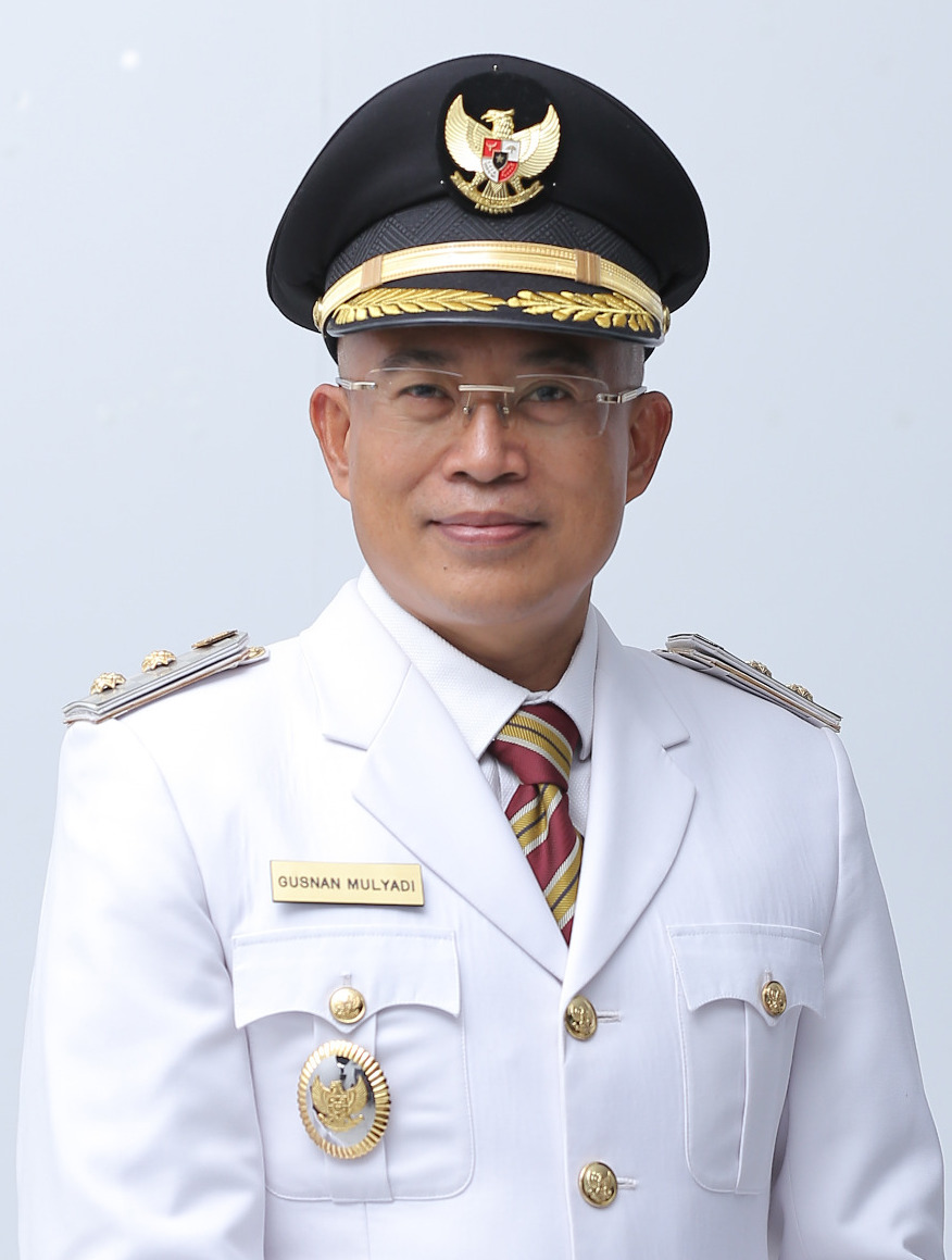 Bupati Gusnan Mulyadi