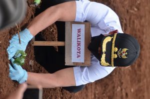 Panen Melon, Wakil Walikota Bengkulu Dedy Wahyudi Ingin ada Kebun di Setiap Kelurahan