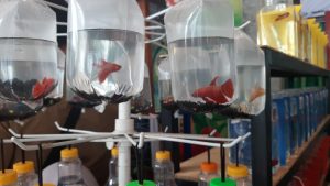 Pemkot Komitmen Bantu dan Permudah Kegiatan UMKM