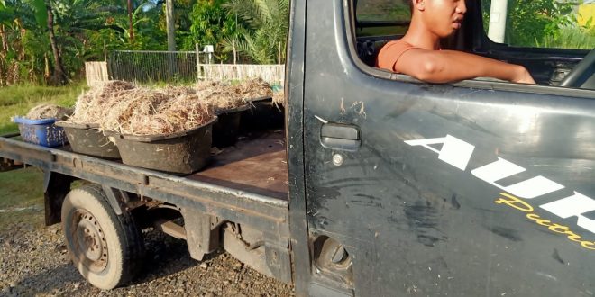 Lurah Tangkap Satu mobil yang membawa 6 ember Sampah Bulu Ayam