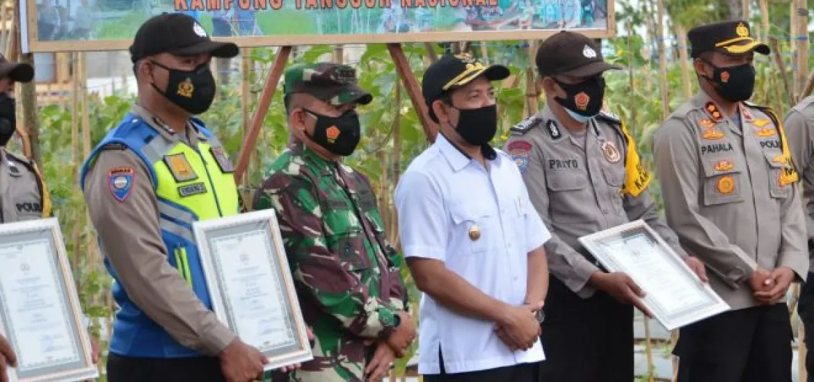 Panen Melon, Wakil Walikota Bengkulu Dedy Wahyudi Ingin ada Kebun di Setiap Kelurahan
