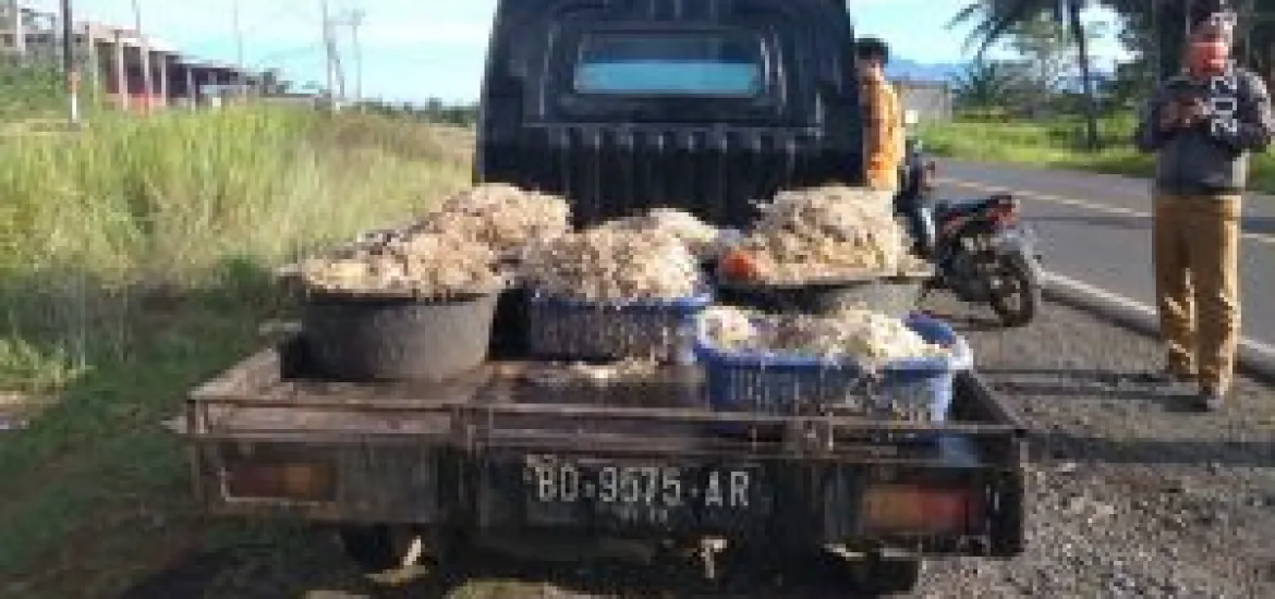 Lurah Tangkap Satu mobil yang membawa 6 ember Sampah Bulu Ayam