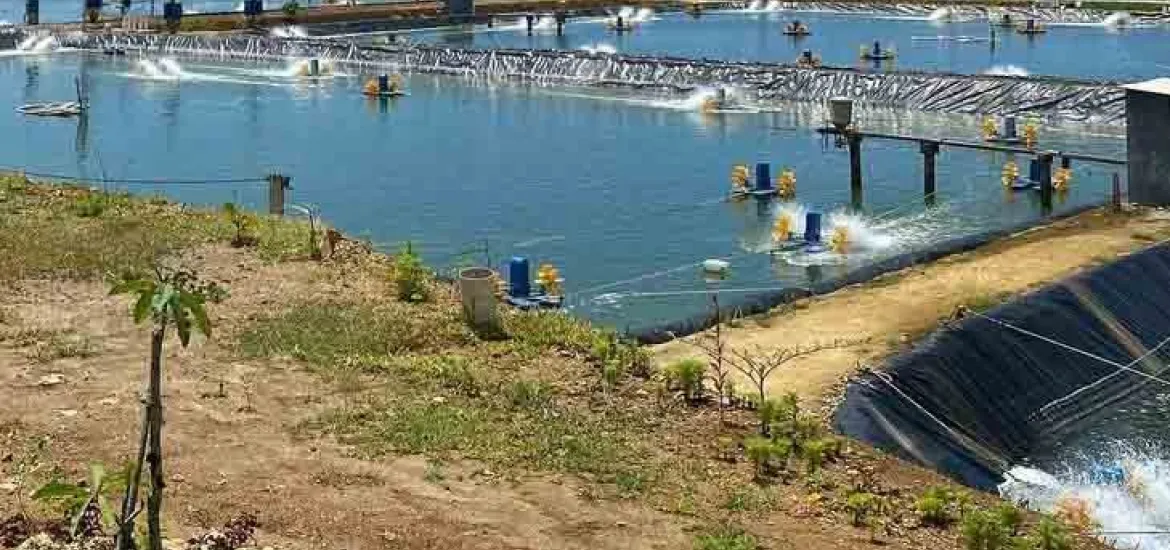 Komisi I DPRD Provinsi Bengkulu Sidak PT DPP Terkait Pencemaran Lingkungan