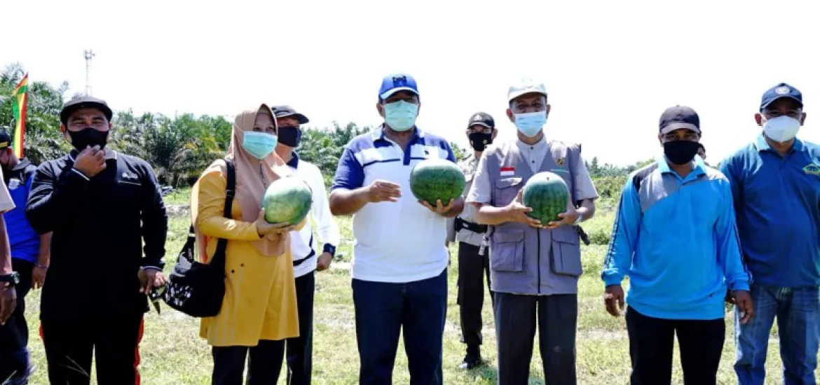 Bupati Alfedri Minta Warga Produktif di Musim Pendemi Covid-19