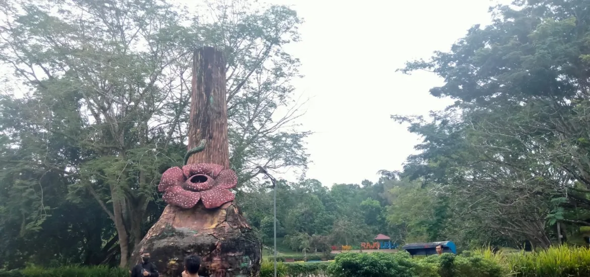 Taman Hutan Rajo Lelo yang berada di daerah Bentiring Permai Muara Bangka Hulu Kota Bengkulu. Sabtu (19/10/2024). Foto : Monica Anggraini
