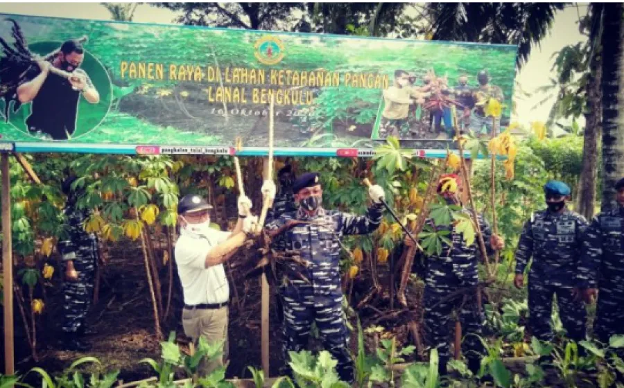 Lanal dan Pemkot Panen Raya Ubi Kayu Guna Atasi Ketahanan Pangan Di Tengah Pandemi Covid-19