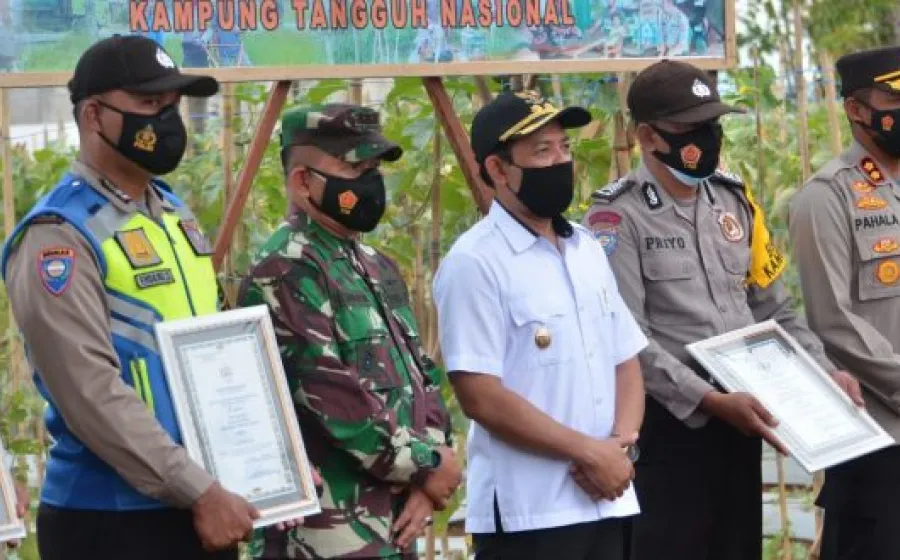 Panen Melon, Wakil Walikota Bengkulu Dedy Wahyudi Ingin ada Kebun di Setiap Kelurahan