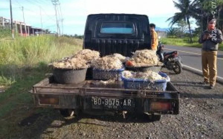 Lurah Tangkap Satu mobil yang membawa 6 ember Sampah Bulu Ayam