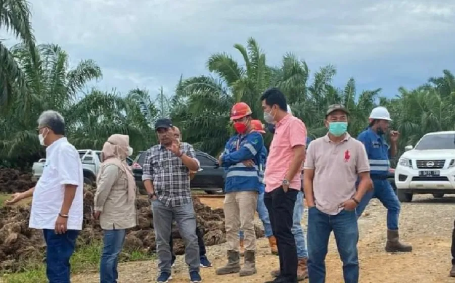 DPRD Provinsi Bengkulu minta pemda evaluasi seluruh izin HGU