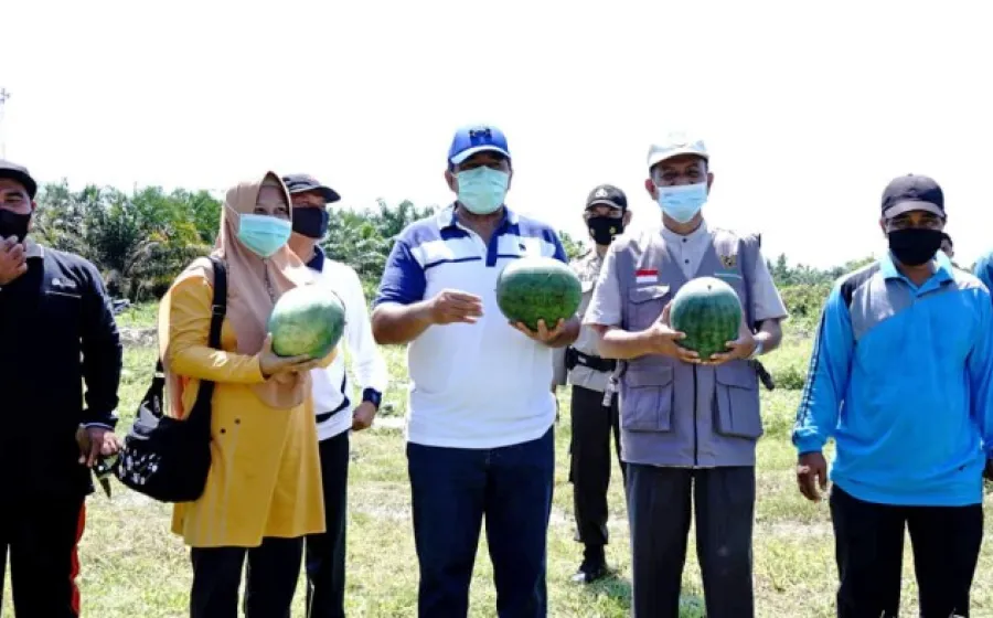Bupati Alfedri Minta Warga Produktif di Musim Pendemi Covid-19